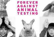 COMPRA SIN CRUELDAD.