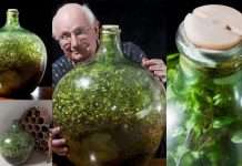 Ecosistema Verde, Prototipo Para Llenar De Flora El Espacio.