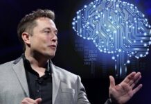 Los implantes cerebrales de Elon Musk ya fueron probados en un mono